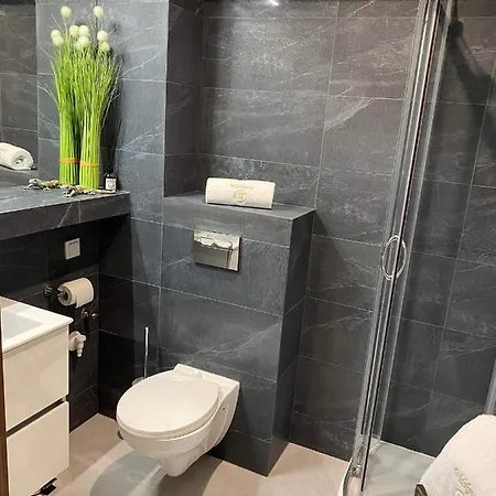 52 Kozubnik Blisko Szczyrk- 5d Appartement